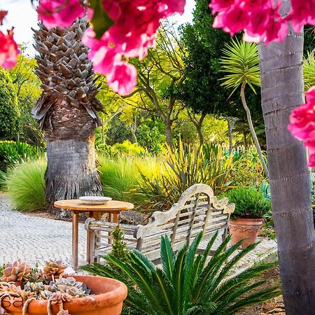 Quinta Azul - Gorgeous Apartment With Pool & Private Terrace ラゴア エクステリア 写真